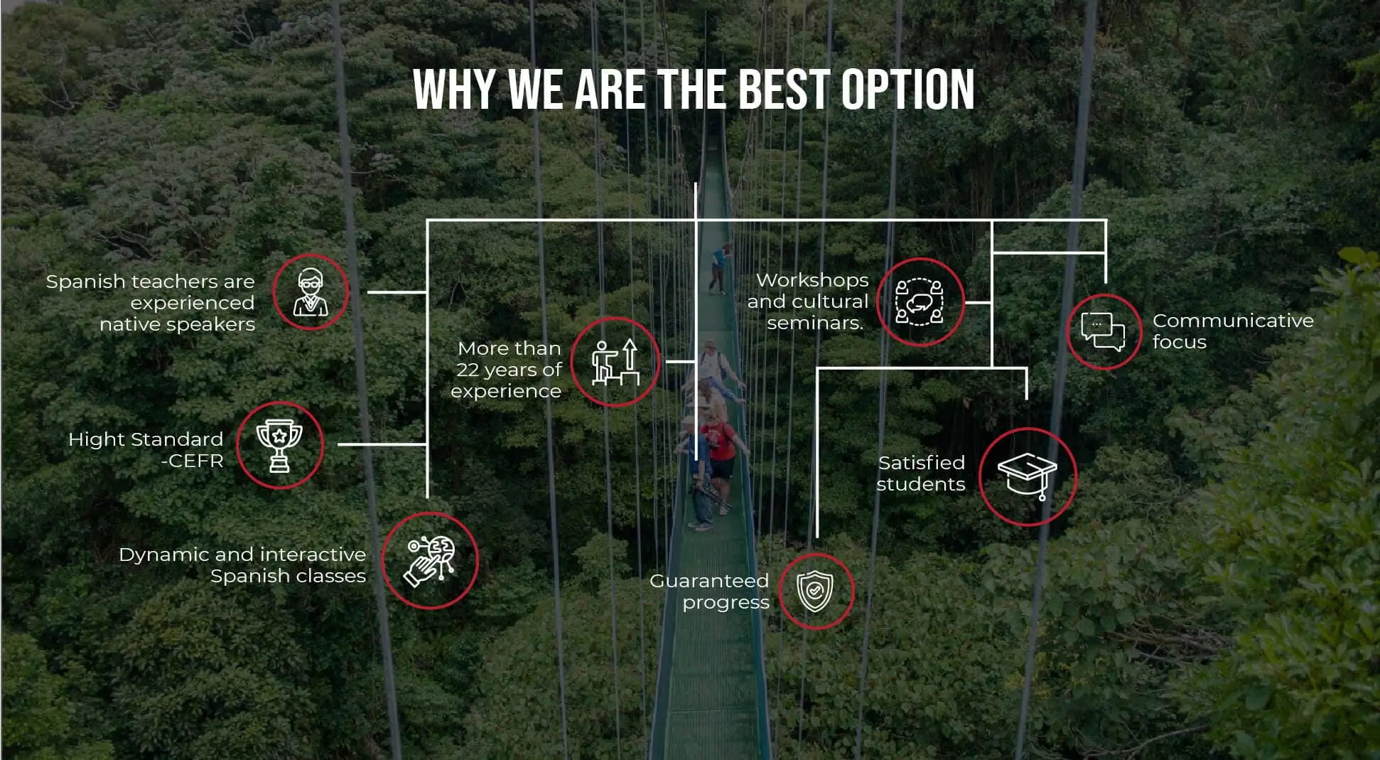 We are the best option